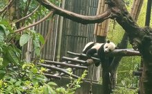 以下内容与「win德赢官方网站入口说